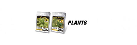 Plants