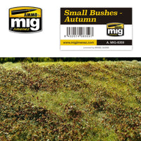 SMALL BUSHES - AUTUMN