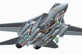Grumman F-14D Tomcat