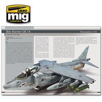 AIRPLANES IN SCALE: The Gratest Guide JETS ENGLISH